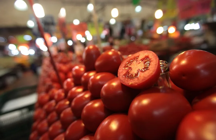 Arancel tomates mexicanos Estados Unidos impone medida del 20,91 %