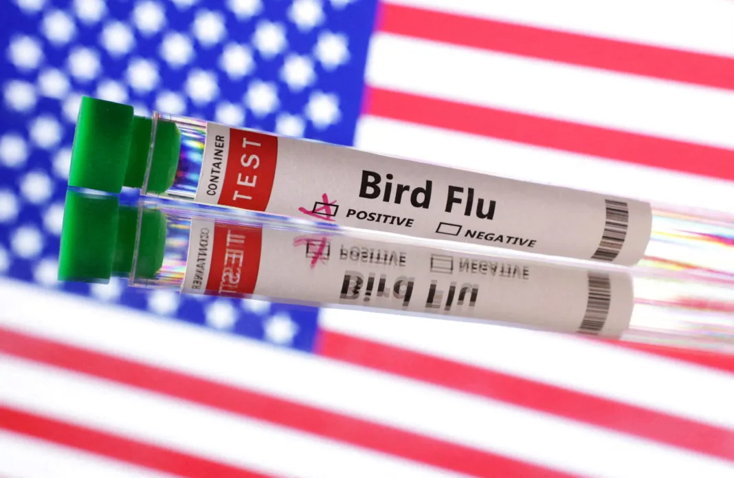 California ofrece tarjetas de regalo de $25 por pruebas de gripe aviar