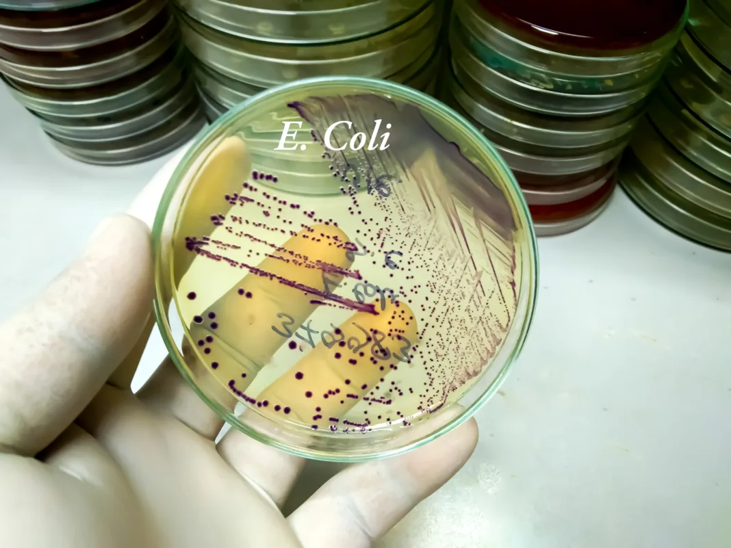 FDA no reportó brote de E. coli que se extendió por 15 estados