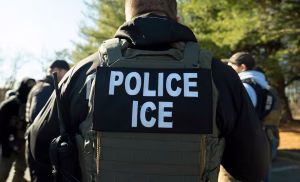 Redadas de ICE en Florida terminan con más de 100 inmigrantes detenidos, así reaccionó la comunidad