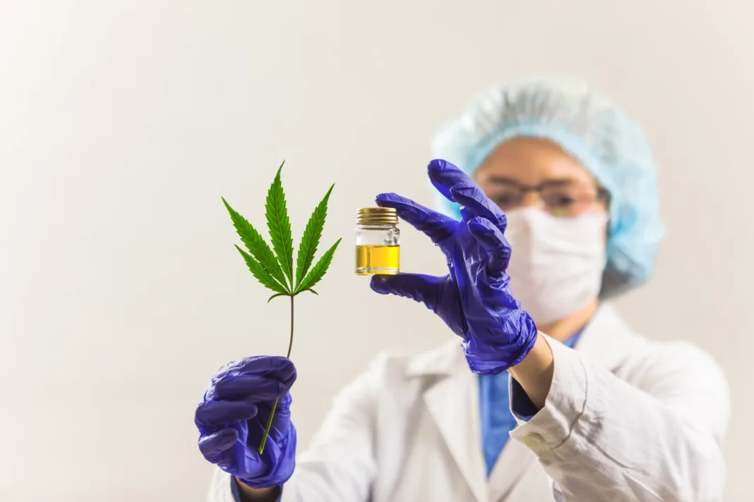 Nueva ley podría abrir puertas a investigación sobre cannabis medicinal