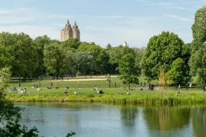 Accidente en Central Park: colisión de carruajes deja varios heridos