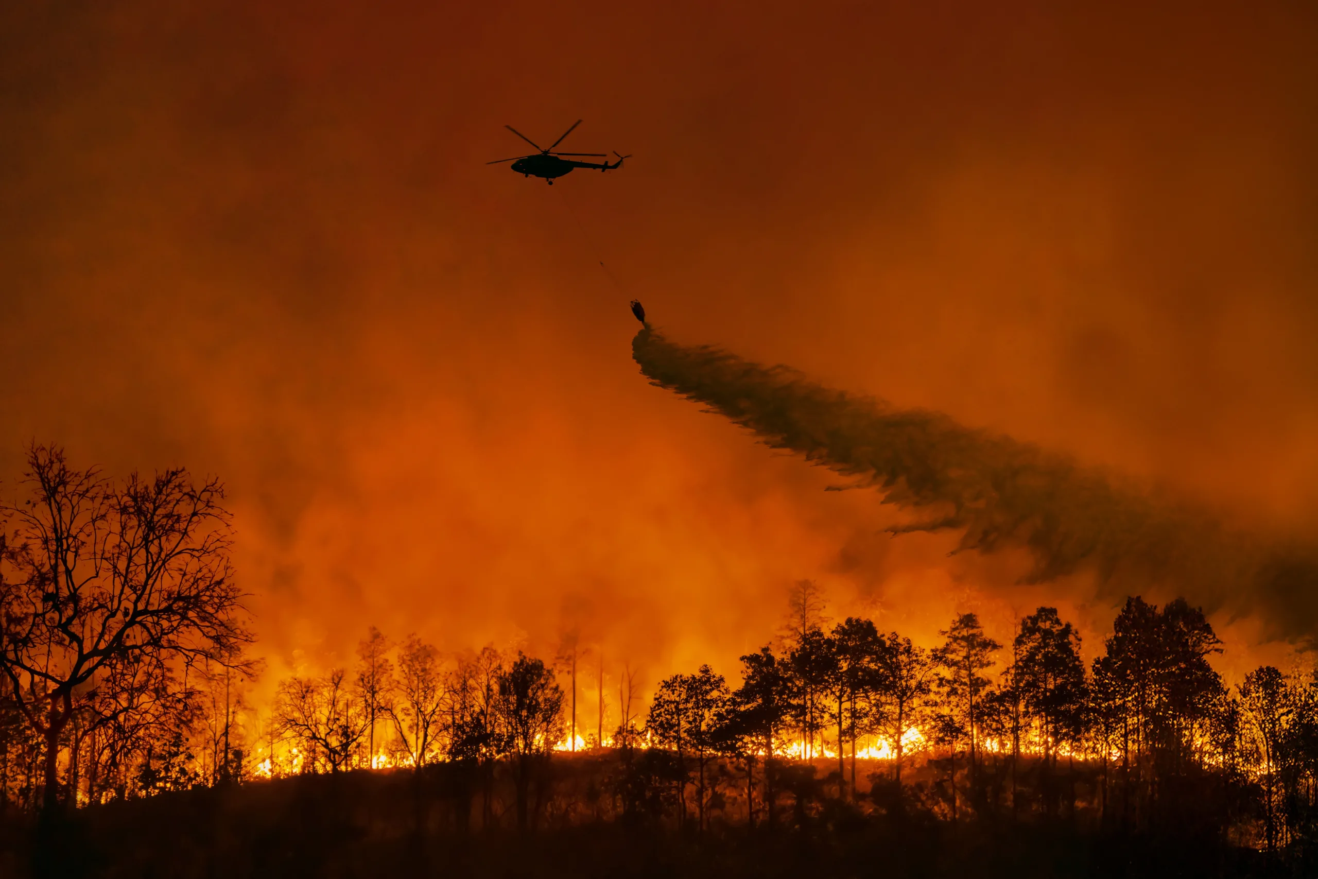 CIJ: Ignorar el cambio climático viola derechos internacionales