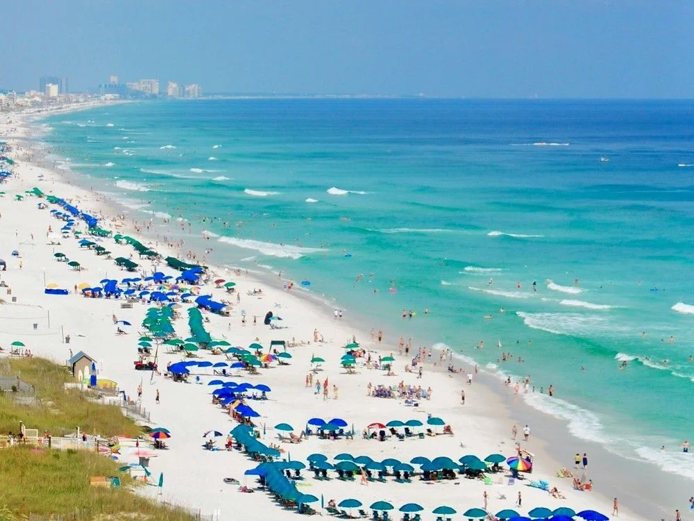 Florida en alerta: esto causa la bacteria 